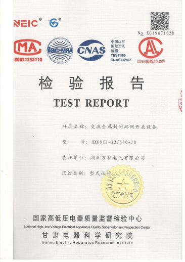 HXGN□-12/630-20交流金屬封閉環網開關設備檢驗報告